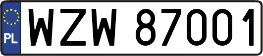 WZW87001