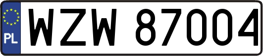 WZW87004