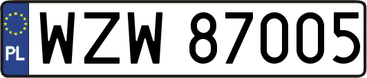 WZW87005