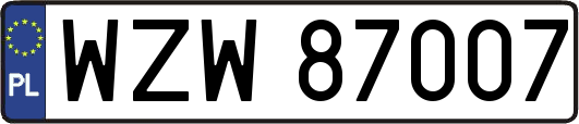 WZW87007
