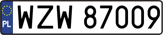 WZW87009