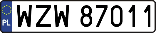 WZW87011