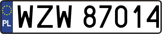 WZW87014