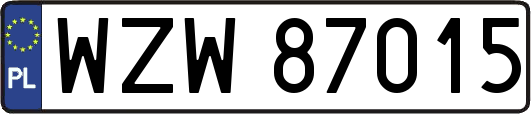 WZW87015