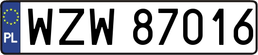WZW87016