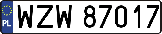 WZW87017