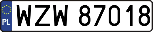 WZW87018