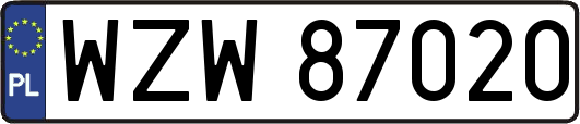 WZW87020