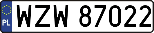 WZW87022