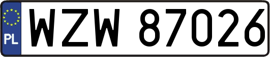 WZW87026