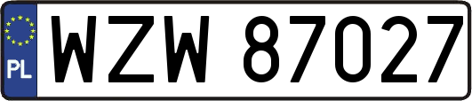 WZW87027