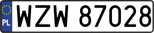 WZW87028