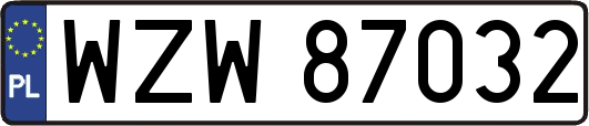 WZW87032