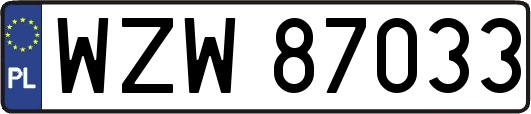 WZW87033