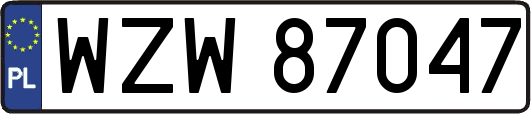 WZW87047