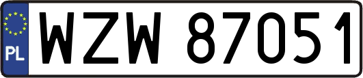 WZW87051