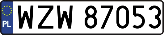 WZW87053