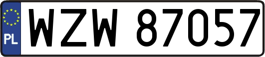 WZW87057