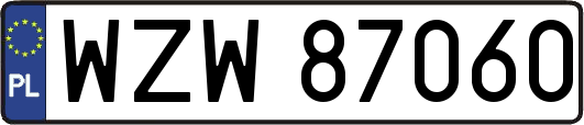 WZW87060