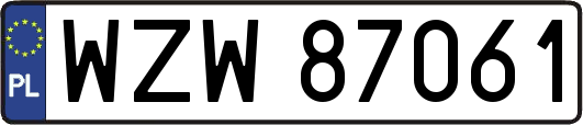 WZW87061