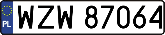 WZW87064