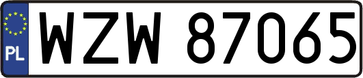 WZW87065