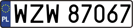 WZW87067