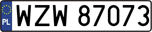 WZW87073
