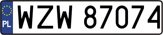 WZW87074