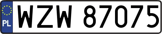 WZW87075