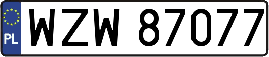 WZW87077