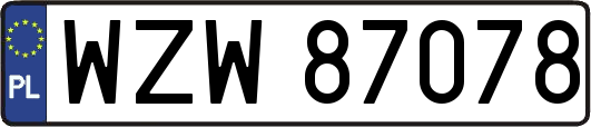 WZW87078