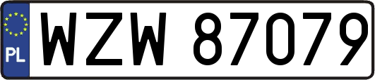 WZW87079