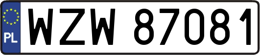 WZW87081