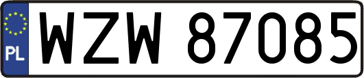 WZW87085