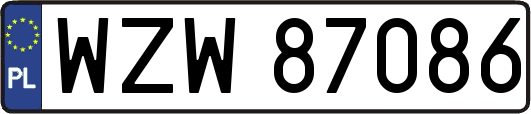 WZW87086
