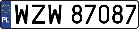 WZW87087