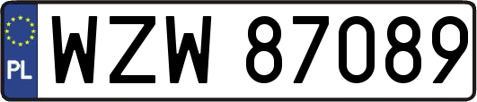WZW87089