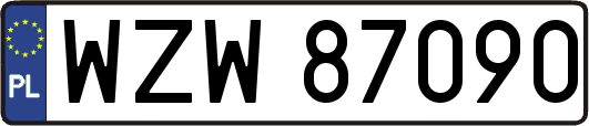 WZW87090