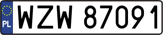 WZW87091