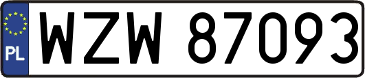 WZW87093