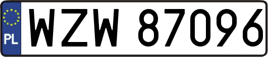 WZW87096