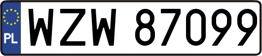 WZW87099
