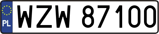 WZW87100