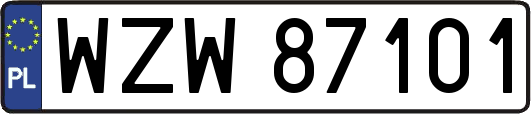 WZW87101