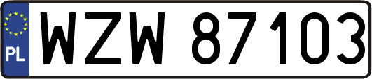WZW87103