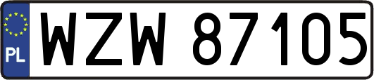WZW87105