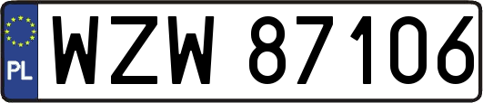 WZW87106