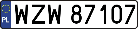 WZW87107