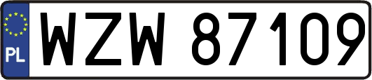 WZW87109